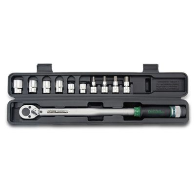 10PCS 3/8 DR. Head-Interchangeable Spanner Torque Wrench Set